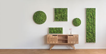 Tablouri din plante naturale